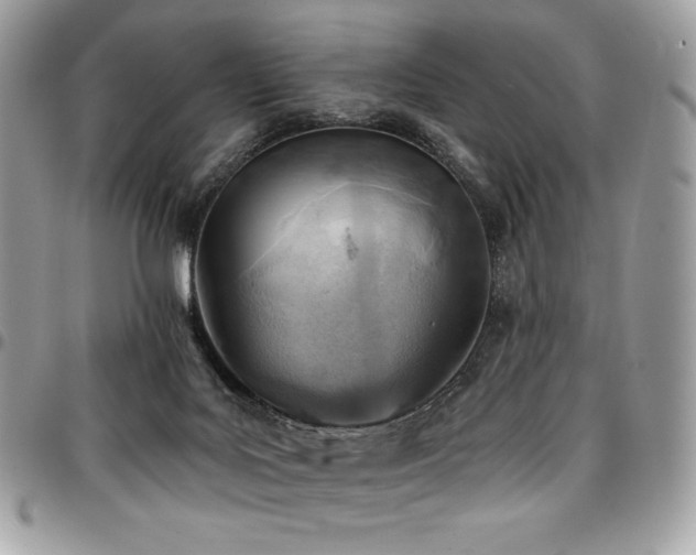 X0000096950027200802081240