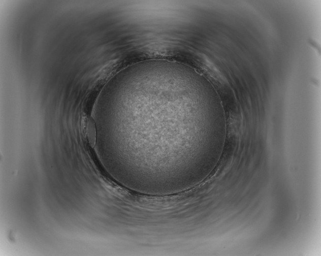 X0000096950029200802081240