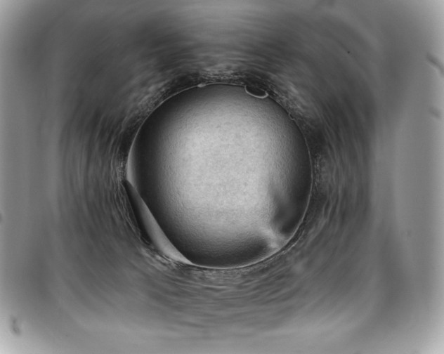 X0000096950033200802081240