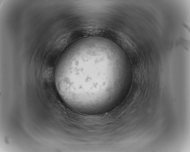X0000096950034200802081240