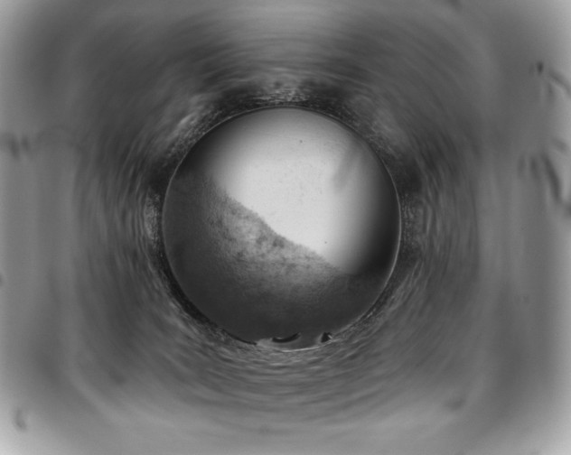 X0000096950035200802081240