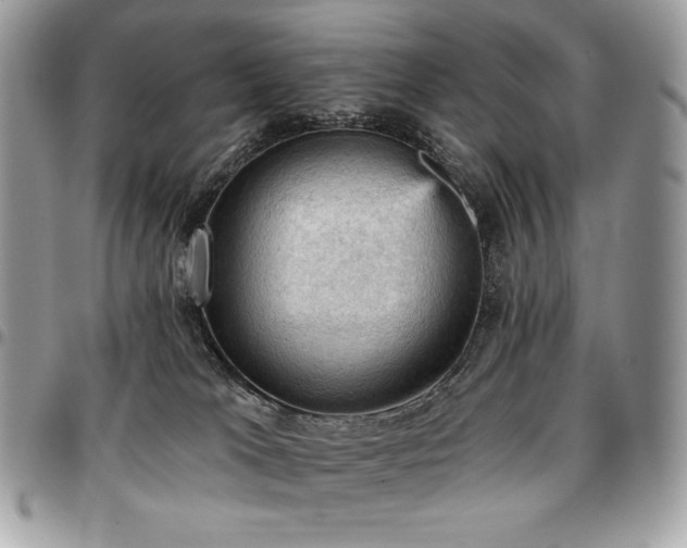 X0000096950037200802081240