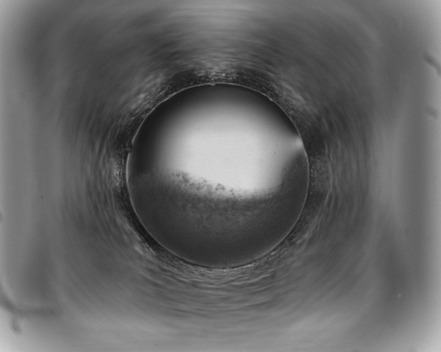 X0000096950039200802081239