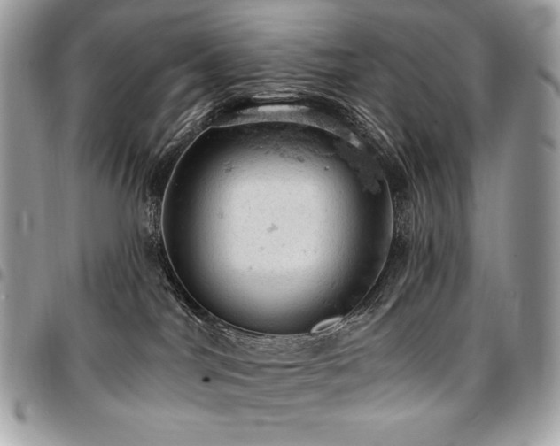 X0000096950044200802081239