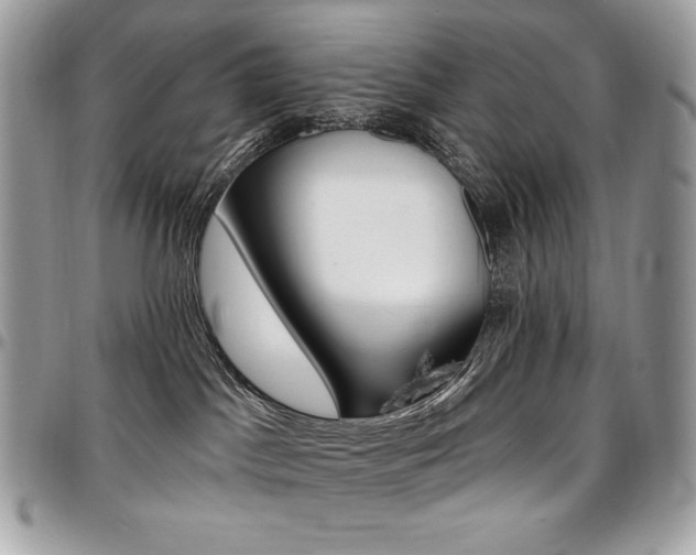 X0000096950045200802081239