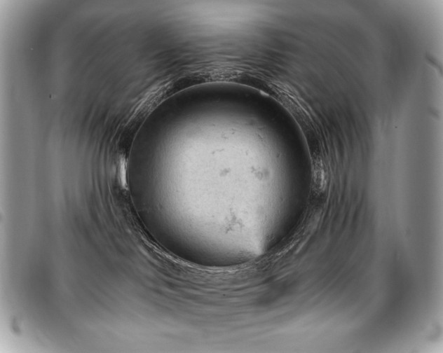 X0000096950046200802081239