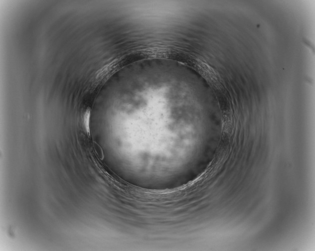 X0000096950047200802081239