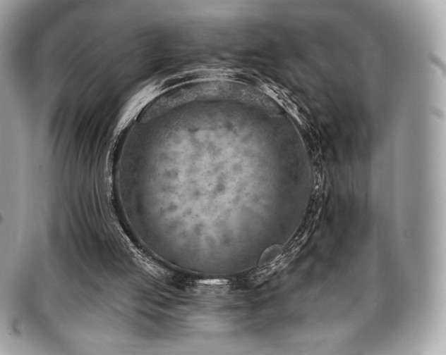X0000096950053200802081239