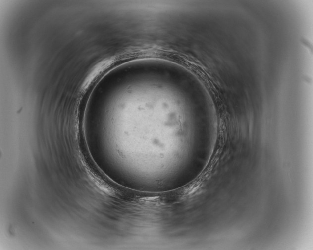 X0000096950054200802081239
