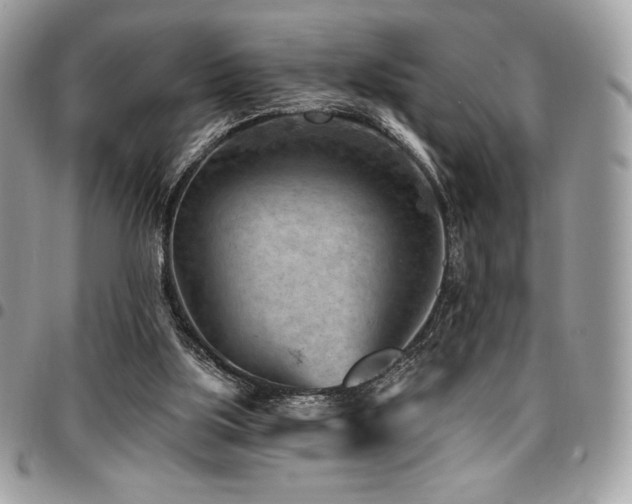 X0000096950059200802081239
