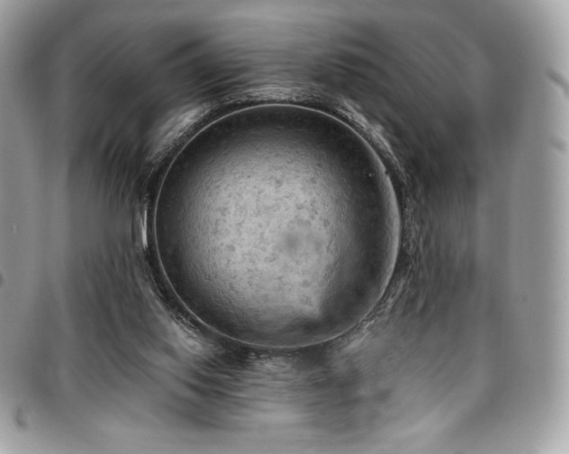 X0000096950062200802081239
