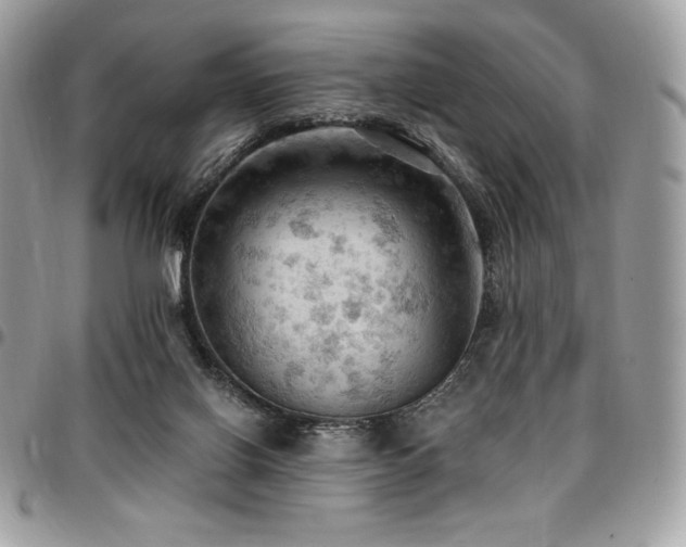 X0000096950070200802081239