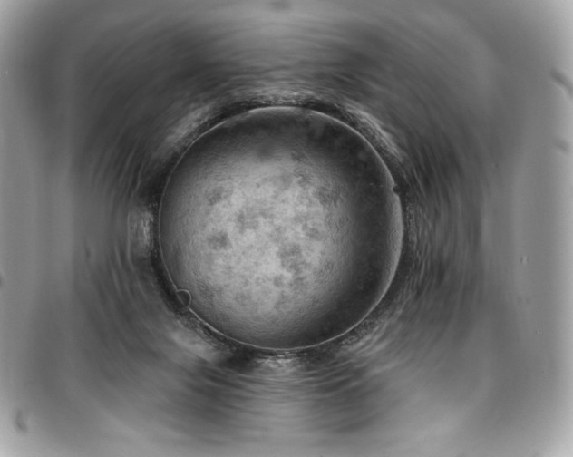X0000096950071200802081239