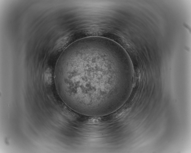 X0000096950080200802081239