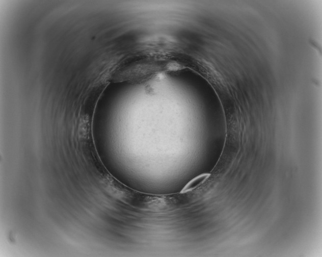 X0000096950083200802081239