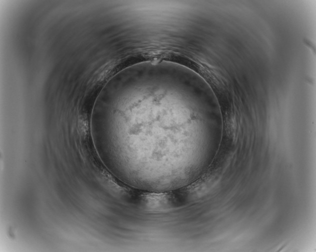 X0000096950085200802081239