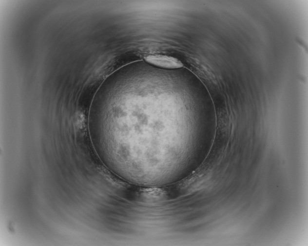X0000096950087200802081239