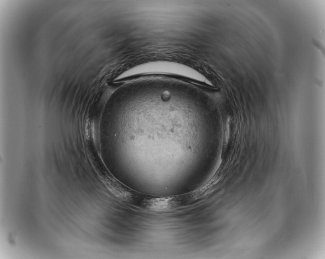 X0000096950090200802081239