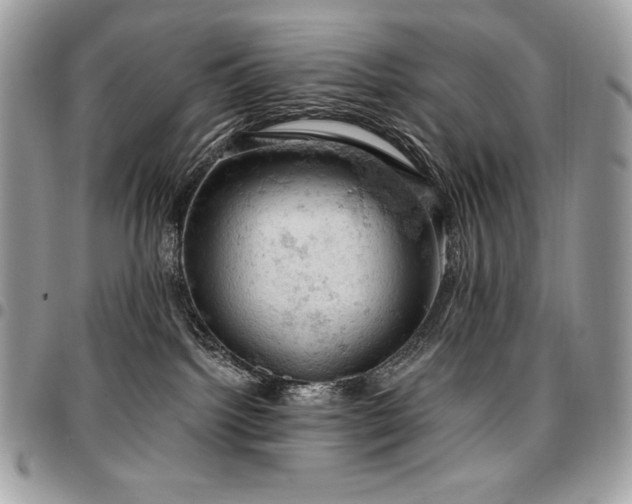 X0000096950092200802081239
