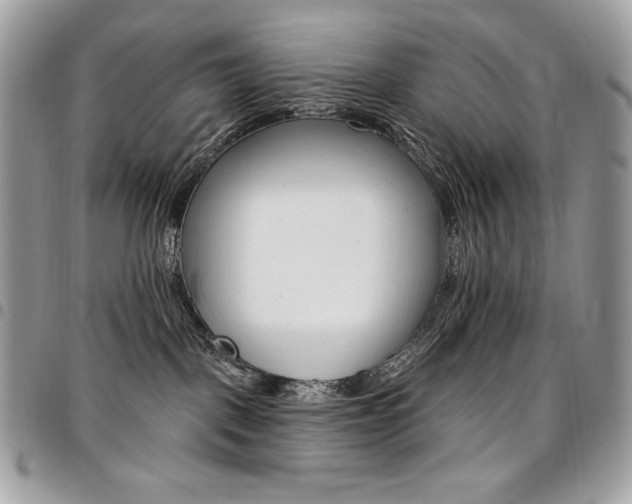 X0000096950093200802081239