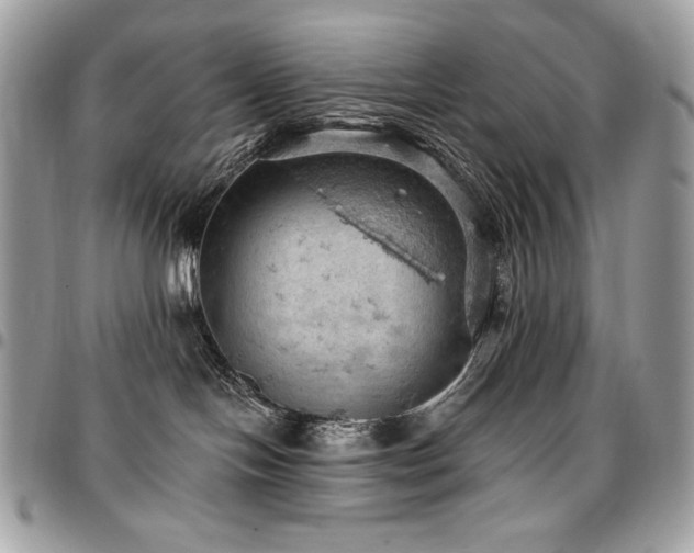 X0000096950094200802081239