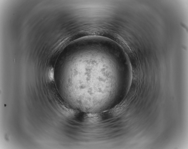 X0000096950095200802081239