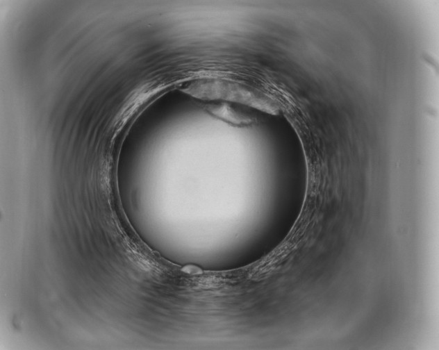 X0000096950098200802081239