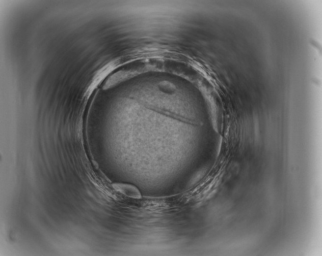 X0000096950099200802081238