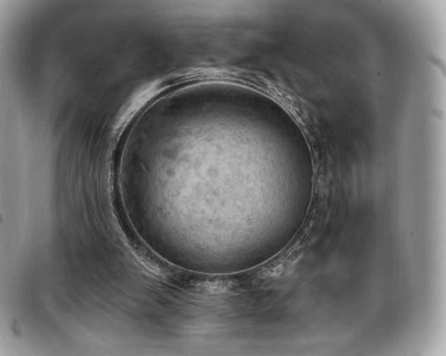 X0000096950103200802081238