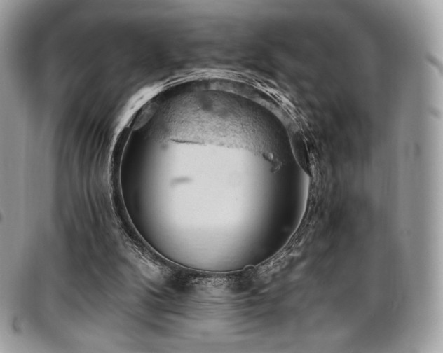 X0000096950104200802081238