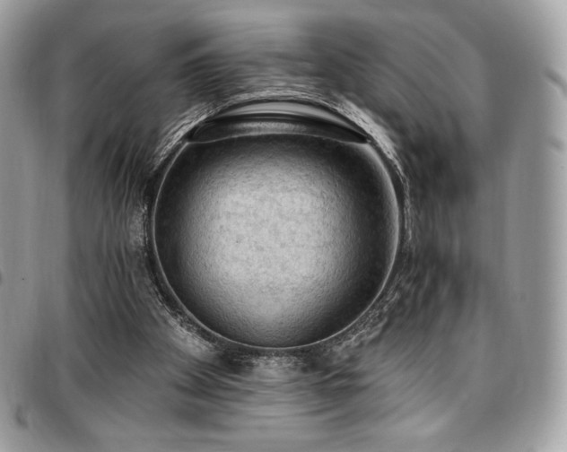 X0000096950105200802081238