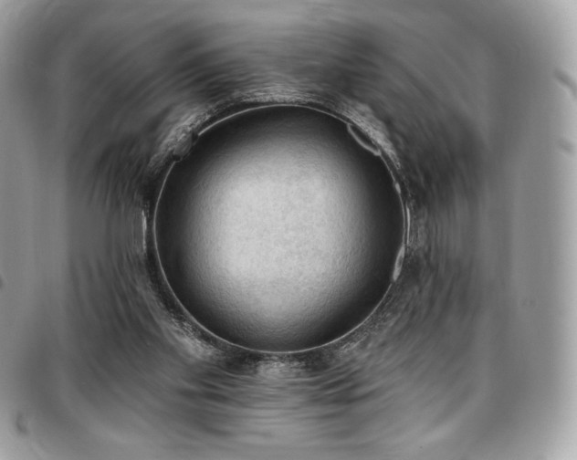 X0000096950109200802081238