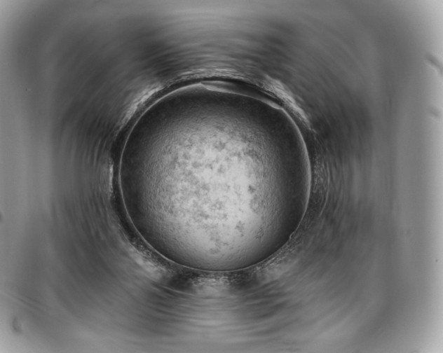 X0000096950110200802081238