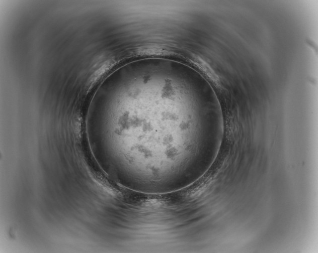 X0000096950111200802081238