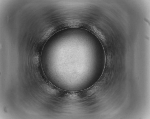 X0000096950113200802081238