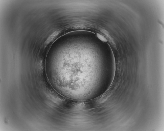 X0000096950116200802081238