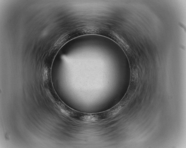 X0000096950117200802081238