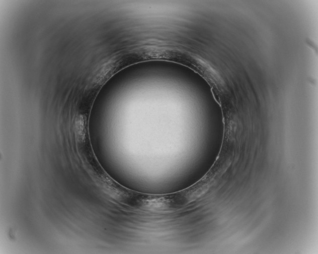 X0000096950121200802081238