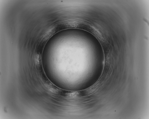 X0000096950122200802081238
