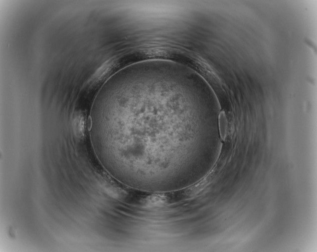 X0000096950124200802081238