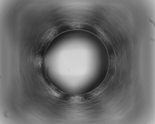 X0000096950125200802081238