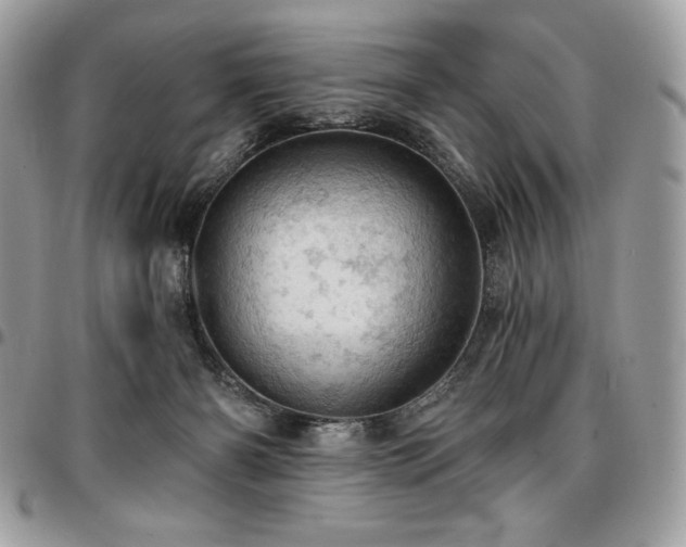 X0000096950126200802081238