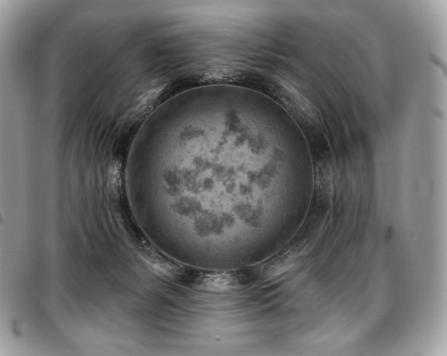 X0000096950127200802081238