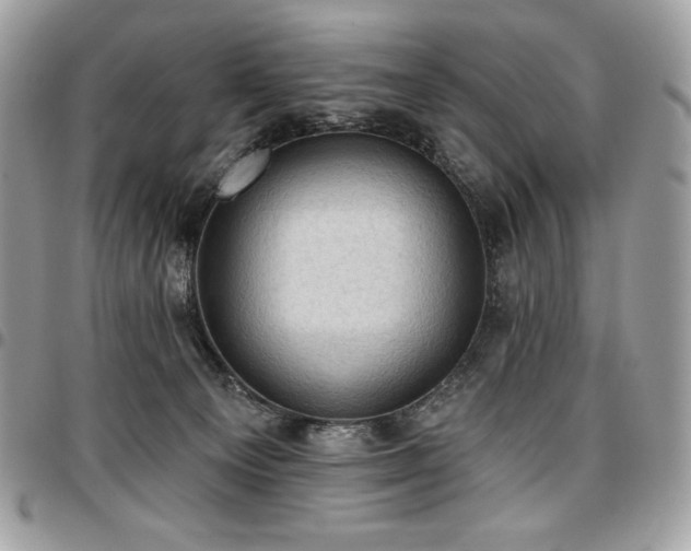 X0000096950129200802081238