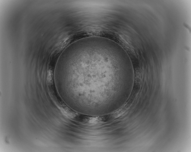 X0000096950130200802081238