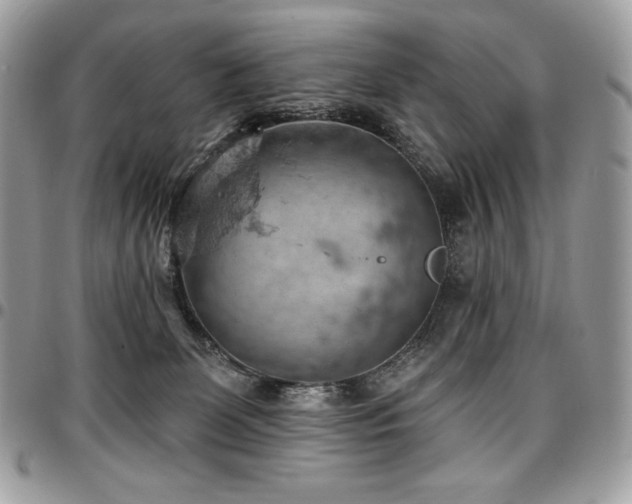 X0000096950131200802081238