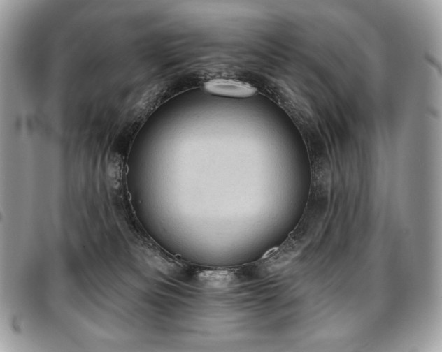 X0000096950133200802081238