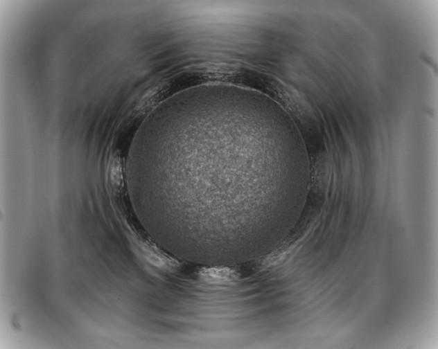 X0000096950137200802081238