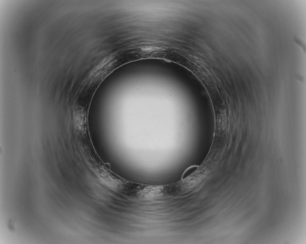 X0000096950138200802081238
