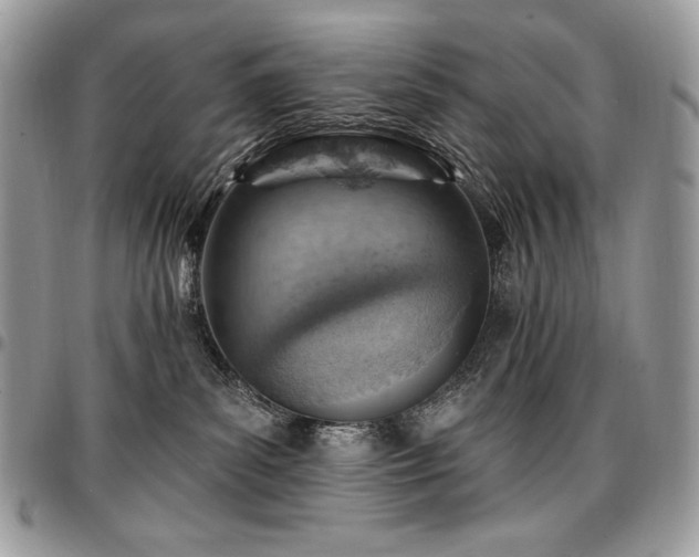 X0000096950139200802081238
